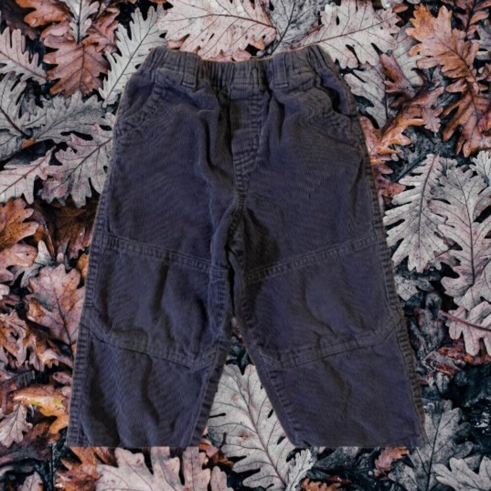 Koala Kids Blue Cotton Corduroy Pants